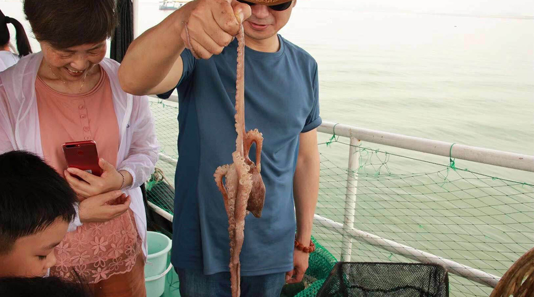 1587726928778062.jpg 3.jpg