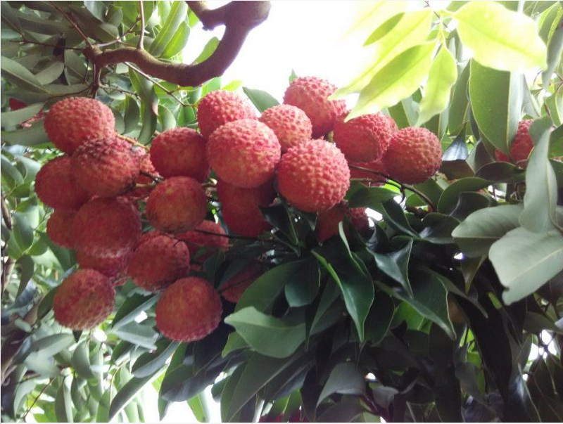 1587727888993053.png 微信截图_20200424192302.png