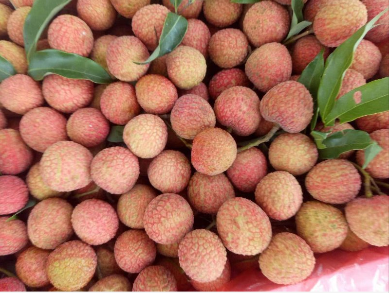 1587727919128718.png 微信截图_20200424192326.png