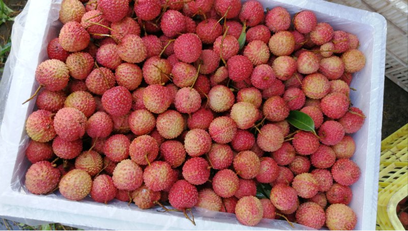 1587727966196037.png 微信截图_20200424192211.png