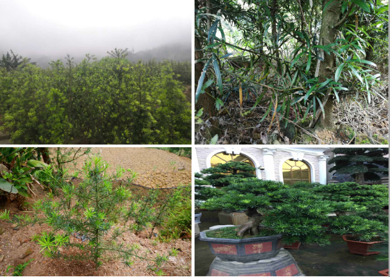 1588221225154500.png 4cc517acfc6968fe8ddcc17e066cf96.png