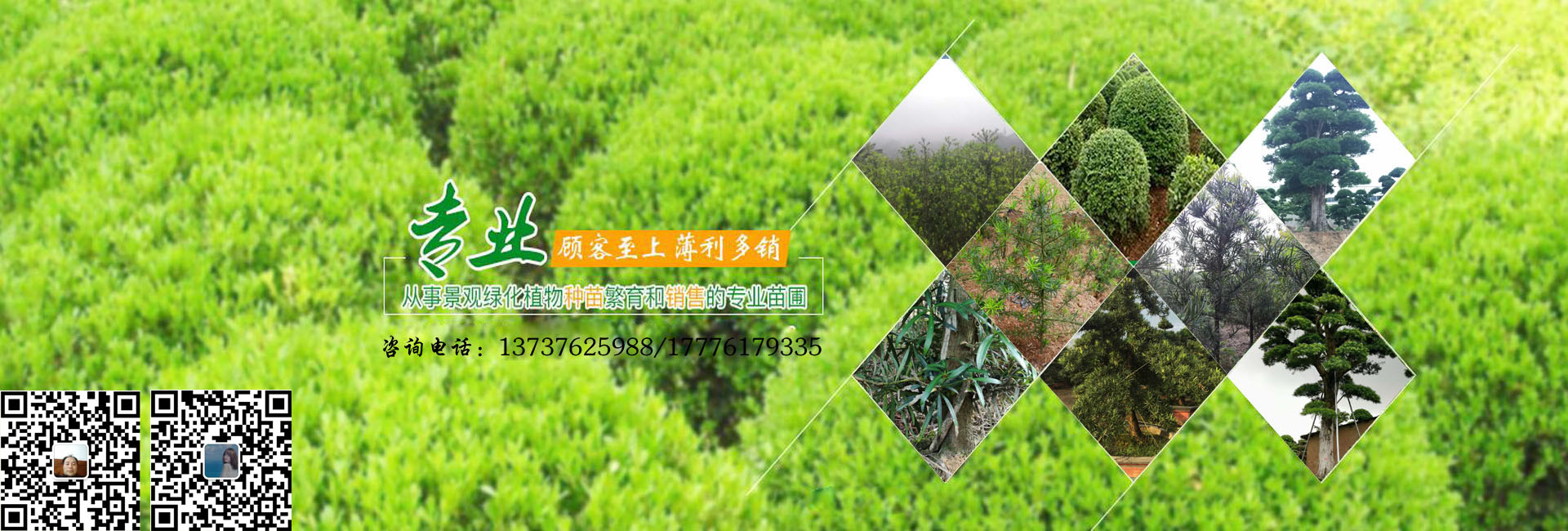 1588221261933440.jpg 轮播图2 (2).jpg