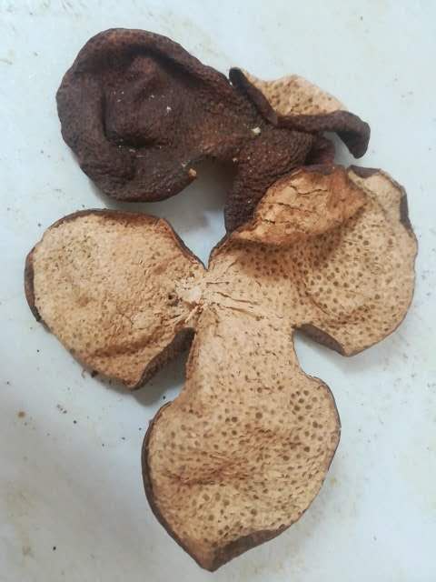 1588664641305110.jpg 4e434f80f19559767b1b421b25f3bf8.jpg