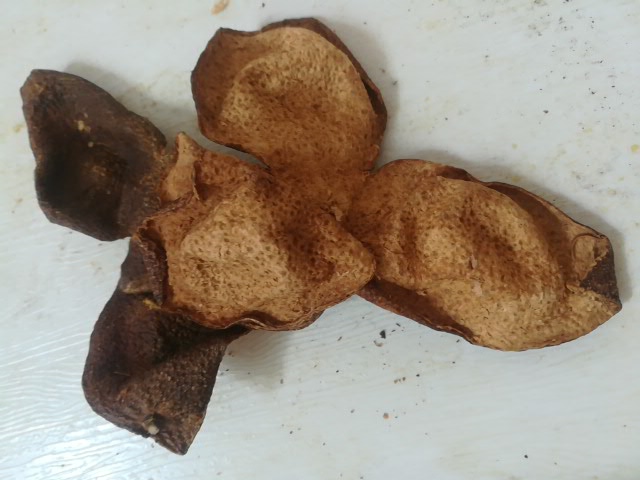 1588664692123923.jpg edeaf3cafd032f354d4c222a04f923c.jpg