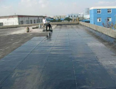 1588770098339499.jpg ea320b10de14081606ccabc1c1252f3a.jpg