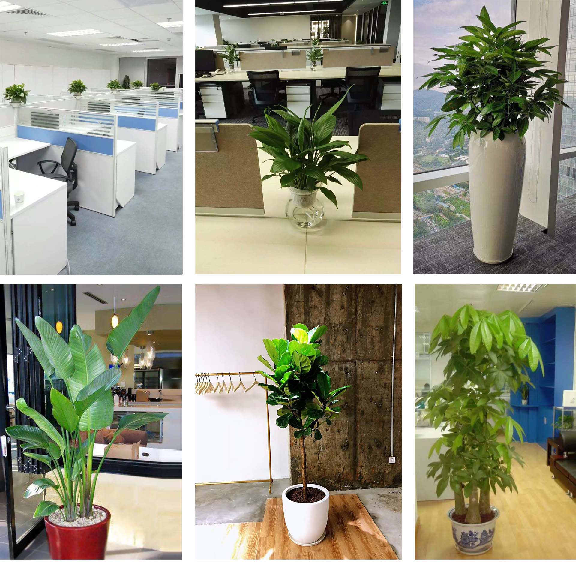 1588935063445123.jpg 123.jpg