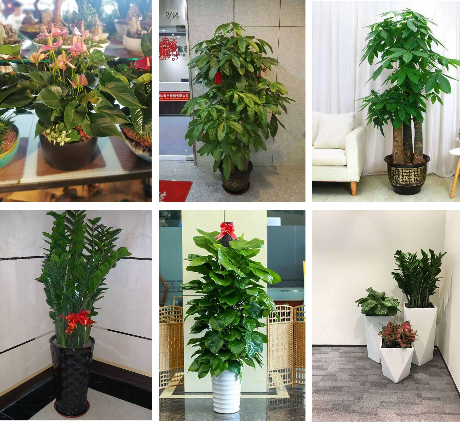 1588936578935910.jpg 123456789.jpg