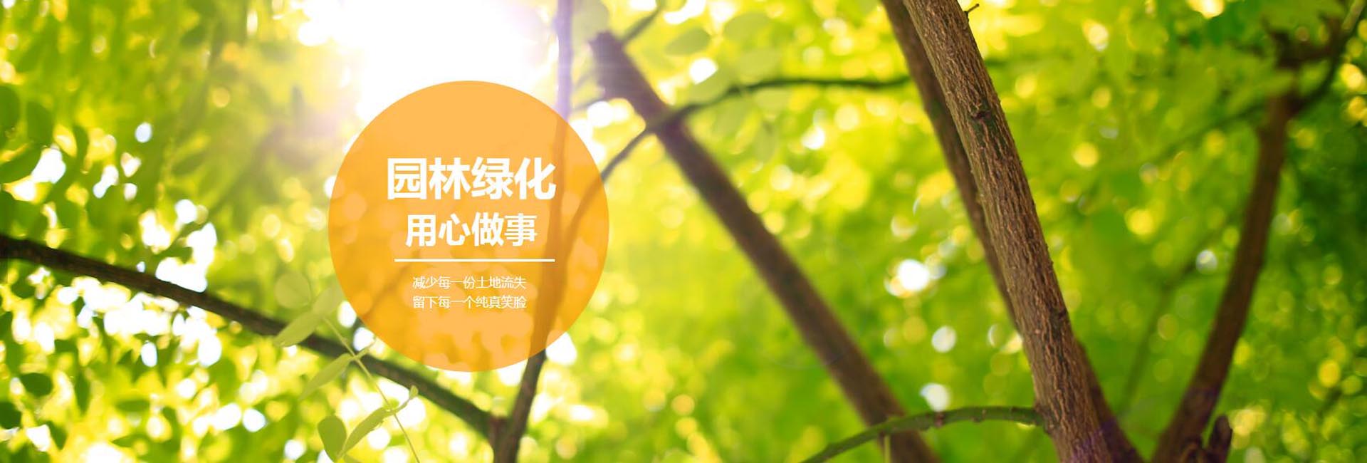 1589199085332529.jpg 1920x650.jpg