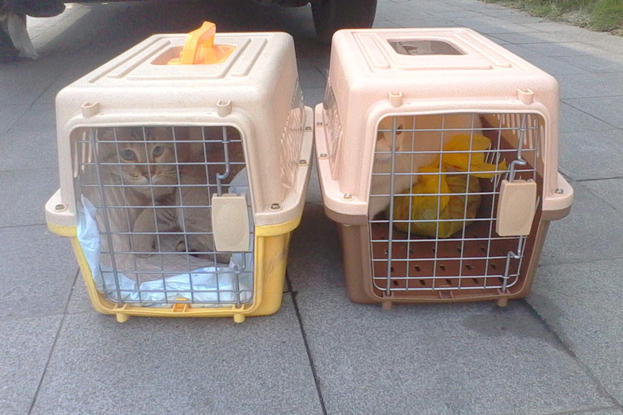 1591619350978338.jpg 1.jpg