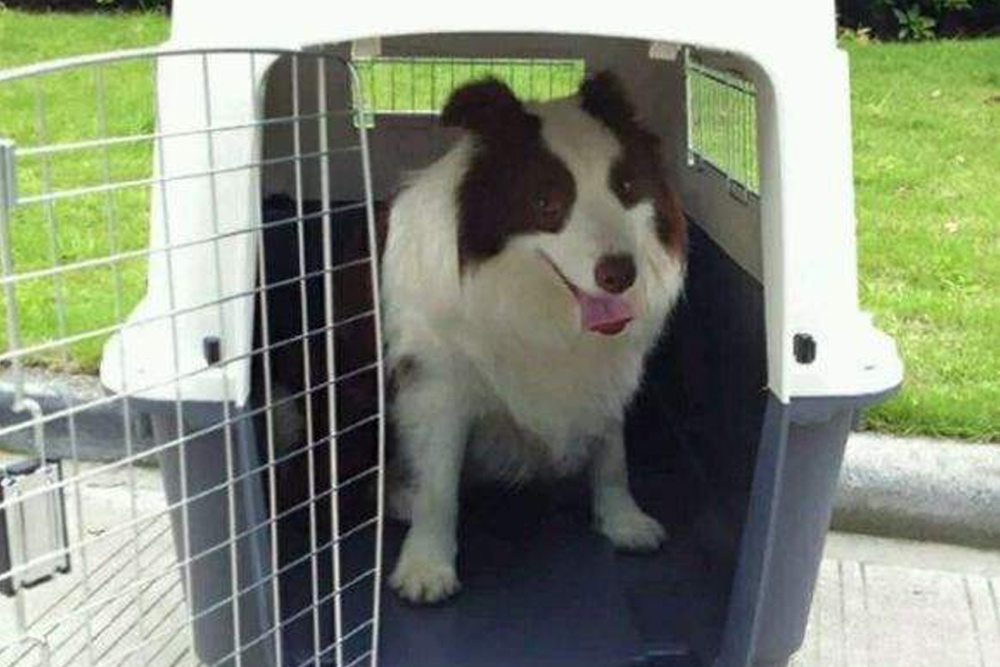 1591619369358628.jpg 3.jpg