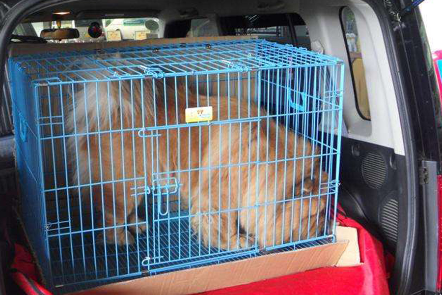 1591619377713805.jpg 4.jpg