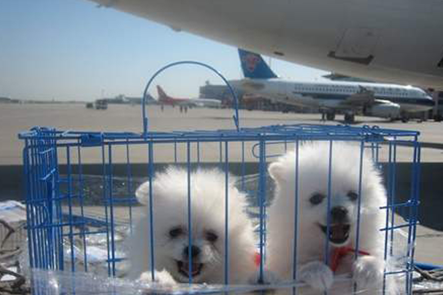 1591619397761896.jpg 5.jpg