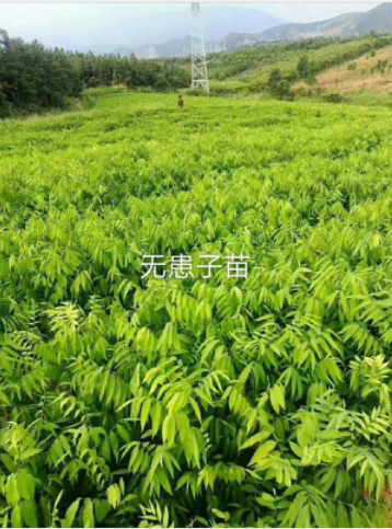 1592279675326444.png image.png