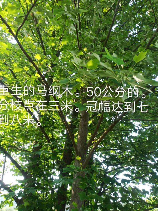 1592280179265002.png image.png