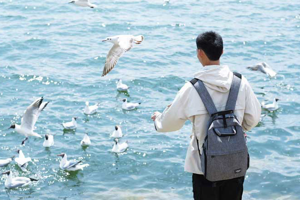 1595335090614719.jpg 10.jpg