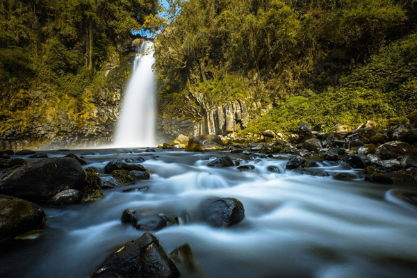 1595335119770856.jpg 3.jpg