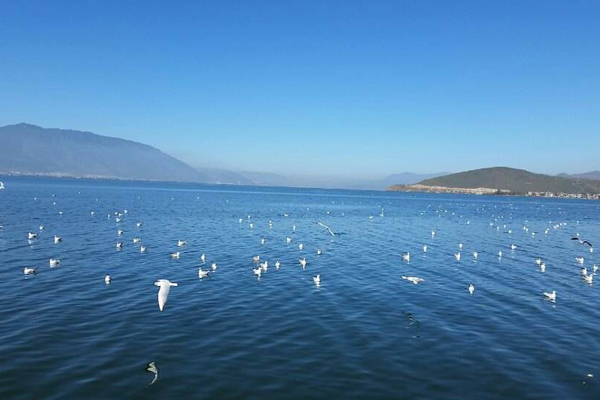 1595335126735346.jpg 4.jpg