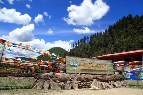 1595335158779440.jpg 15.jpg