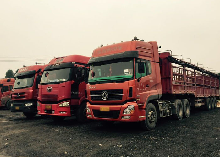 1596017890448557.jpg 77777.jpg