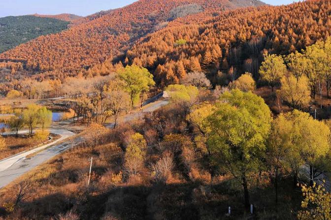 1604233393480543.jpg 3.jpg