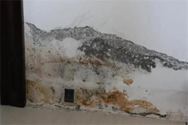 1693619769145765.jpg 微信截图_20230205143320.jpg