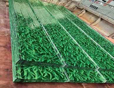 1765250858815489.jpg 10.jpg