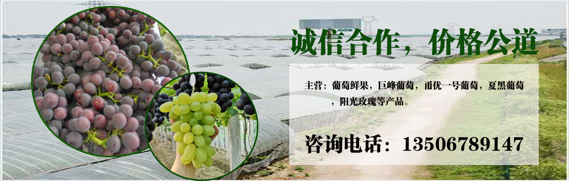 1589188862308419.jpg 轮播图1.jpg